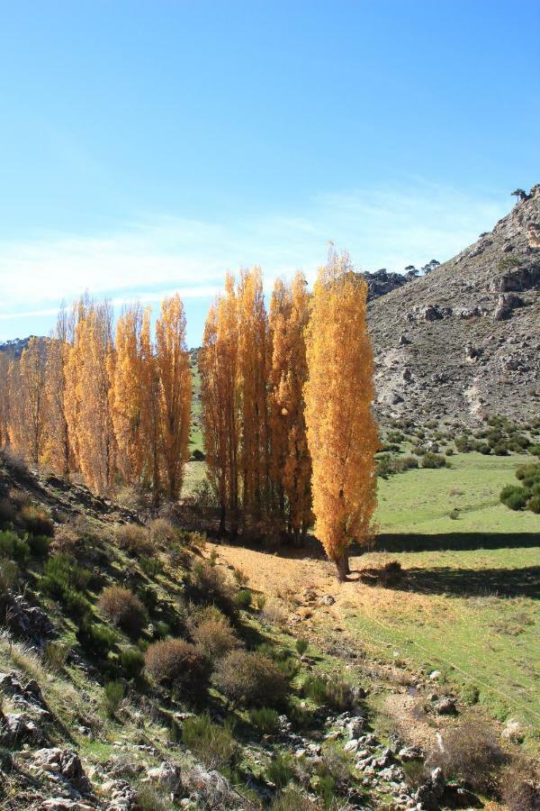 Alojamiento Aguasblanquillas Coto Rios Exterior foto