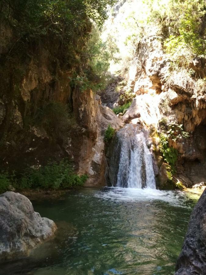 Alojamiento Aguasblanquillas Coto Rios Exterior foto